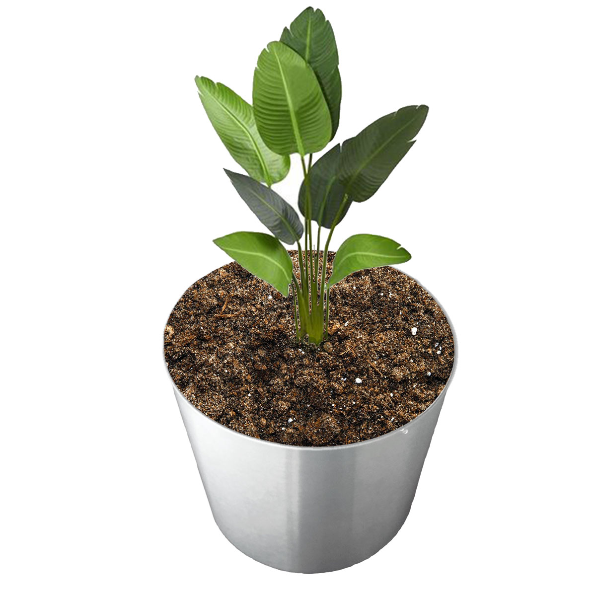 Maceta cilíndrica modelo Sidney chica de acero inoxidable de 30 cm de alto para exterior