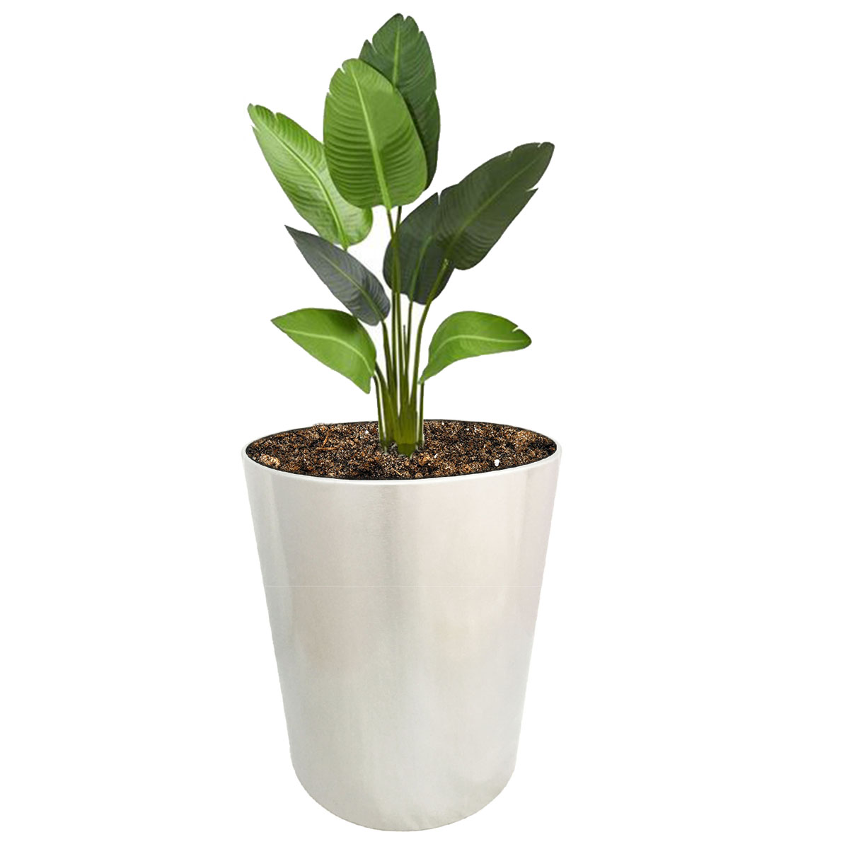 Maceta cilíndrica modelo Sidney mediana de acero inoxidable de 40 cm de alto para exterior