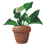 Maceta cónica con relieve de polietileno CR31 para exterior